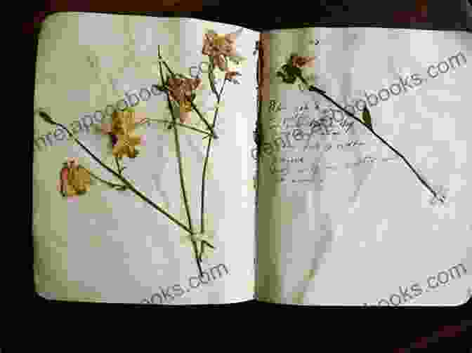 A Book With A Flower Pressed Between Its Pages The Language Of Flowers: A Novel