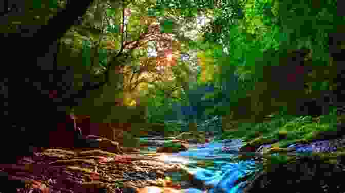 A Breathtaking Depiction Of The Enchanting World Of River Enchanted, Showcasing The Serene River Flowing Through A Vibrant Landscape, Surrounded By Lush Greenery And Vibrant Flowers. A River Enchanted: A Novel (Elements Of Cadence 1)