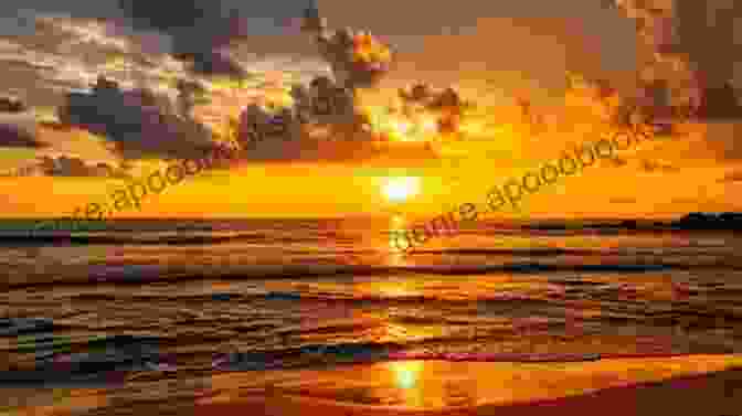 A Breathtaking Sunset Over Carl Ross Key, Casting A Golden Glow On The Island. Carl Ross Key May 2001: Weekend Naturist Trip (Campingbare Stories 4)