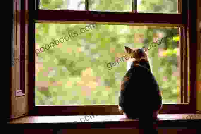 A Cat Sitting On A Windowsill, Looking Out At The World. The Amazing Of Cat Haikus