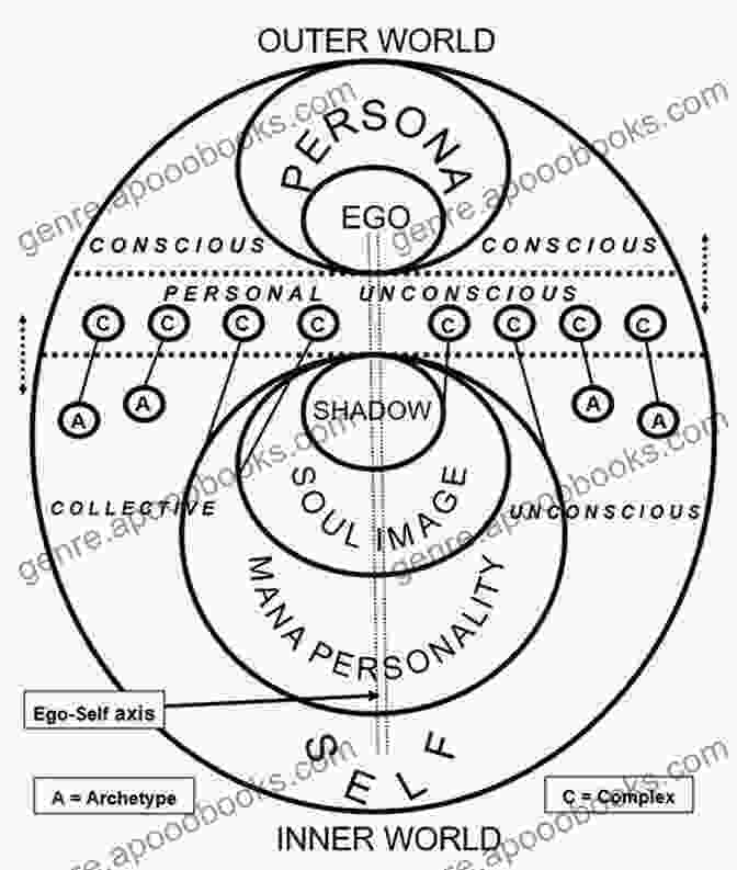 A Diagram Depicting The Individuation Process, With The Persona, Shadow, Anima/animus, And Self As Interconnected Components. 50 PHRASES TO RETHINK YOUR LIFE: THE BEST PHRASES OF CARL JUNG