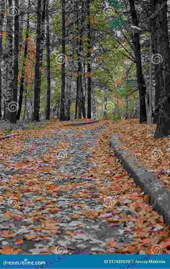 A Forest Path Strewn With Fallen Leaves In Autumn. Bright Spring Days To Icy Winter Nights: Learn All Four Seasons