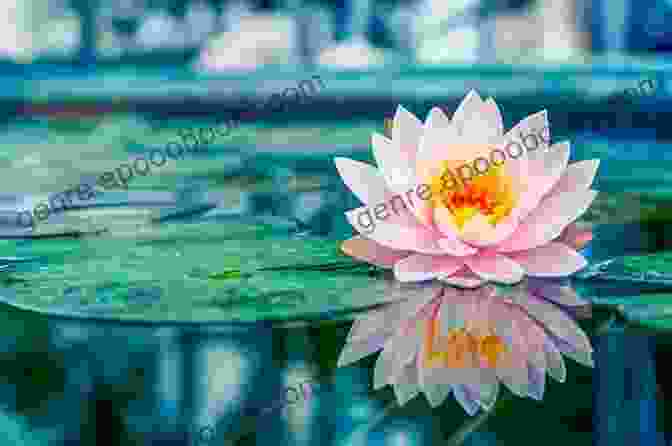 A Lotus Flower Blooming In A Peaceful Pond, Representing Spiritual Growth Dante S Divine Comedy: A Guide For The Spiritual Journey