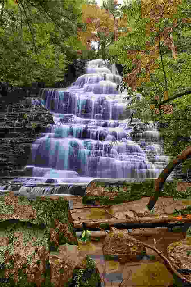 A Majestic Waterfall Cascading Down A Rocky Cliff Face, Surrounded By Vibrant Autumn Foliage Immersed In The View: A Quick Read Police Procedural Set In Picturesque Canada (Parks Pat Mysteries (Police Procedural) 4)