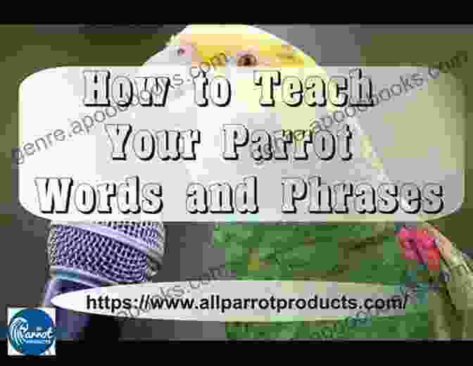 A Parrot Vocalizes Complex Phrases. How To Teach Your Parrot To Speak In 5 Easy Steps