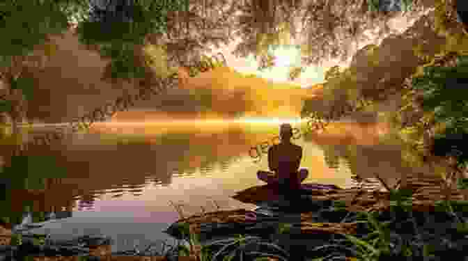 A Person Meditating In Nature, Surrounded By Lush Greenery. The Image Conveys A Sense Of Peace, Tranquility, And Connection To The Body And The Environment. Teaching With Tenderness: Toward An Embodied Practice (Transformations: Womanist Studies)