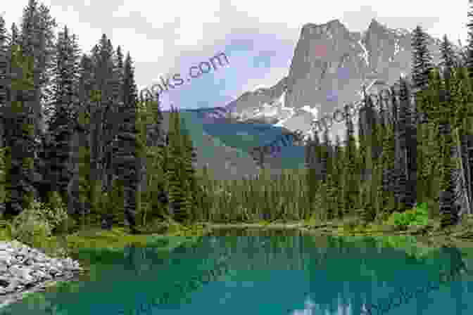 A Serene Lake Surrounded By Lush Forests In A Canadian National Park, With A Small Boat In The Foreground Immersed In The View: A Quick Read Police Procedural Set In Picturesque Canada (Parks Pat Mysteries (Police Procedural) 4)