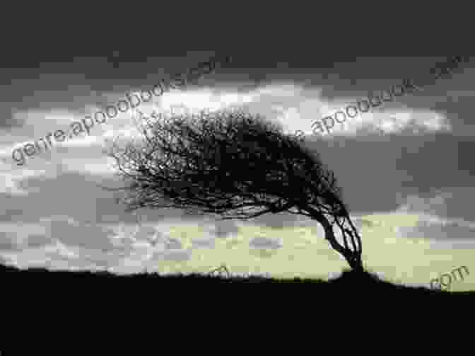 A Tree Standing Tall In The Midst Of A Storm. Divine Turbulence: Navigating The Amorphous Winds Of Life