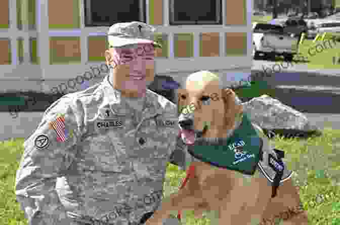 A Veteran With His Service Dog Every Dog Has A Gift: True Stories Of Dogs Who Bring Hope Healing Into Our Lives