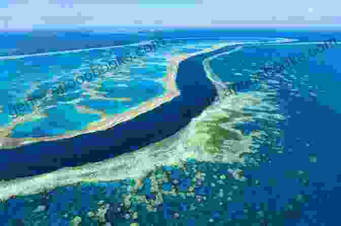 Aerial View Of The Great Barrier Reef With Coral Formations And Turquoise Waters Great Barrier Reef: Travel