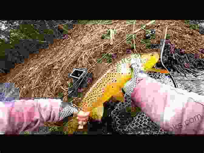 An Angler Proudly Holds A Freshly Caught Trout From The West Branch Of The Ausable River Fly Fishing The West Branch Of The Ausable River