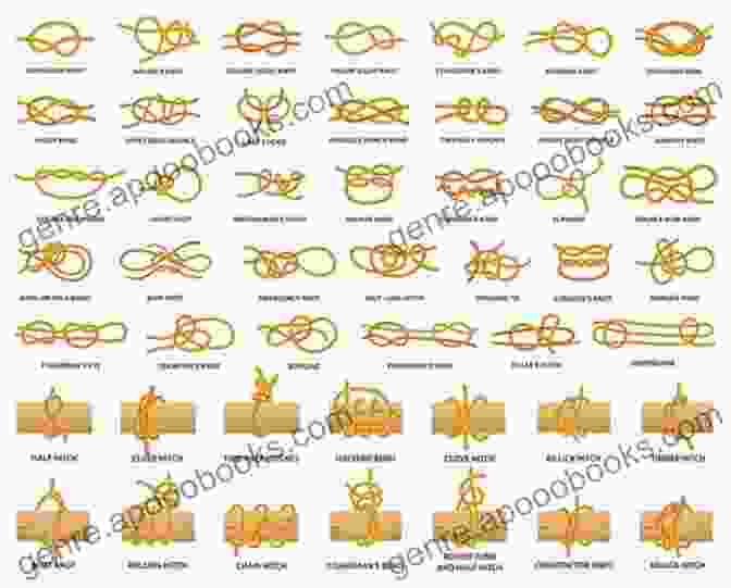 An Intricate Diagram Showcasing Various Knots And Their Applications Knots Splices And Rope Work The Classic And Complete Original Guide (Illustrated)