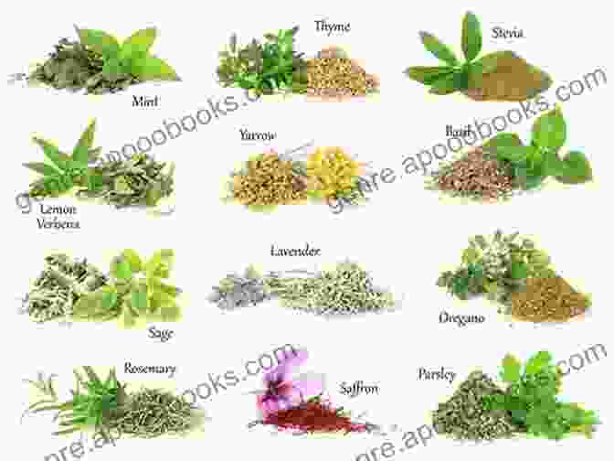 Assortment Of Aromatic Herbs Showcasing Their Diverse Healing Properties Aromatic Herbs: What Is Aromatic Herbs