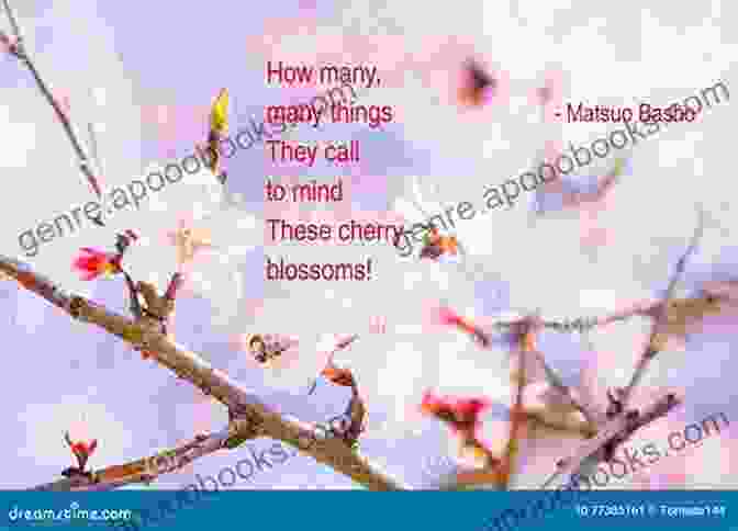 Basho Matsuo Haiku On Spring, Featuring A Blooming Cherry Tree Basho Matsuo Haiku 100 Election Four Seasons