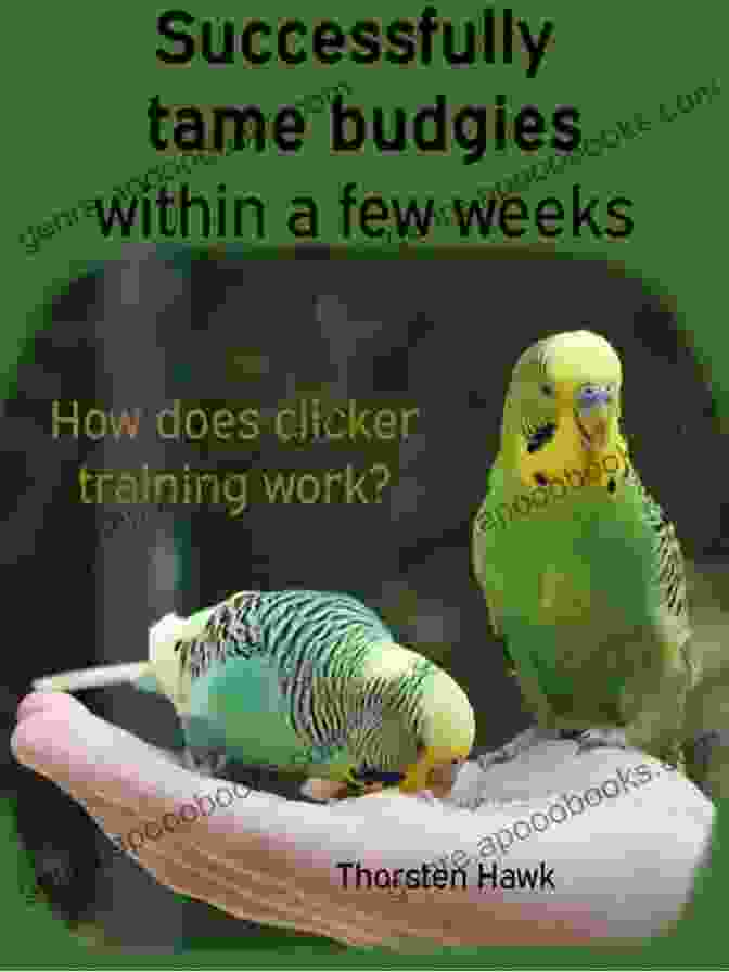 Budgie Body Language Successfully Tame Budgies Within A Few Weeks: How Does Clicker Training Birds With Budgerigars Work? A Step By Step Guide For Budgies Taming And Parakeet Training