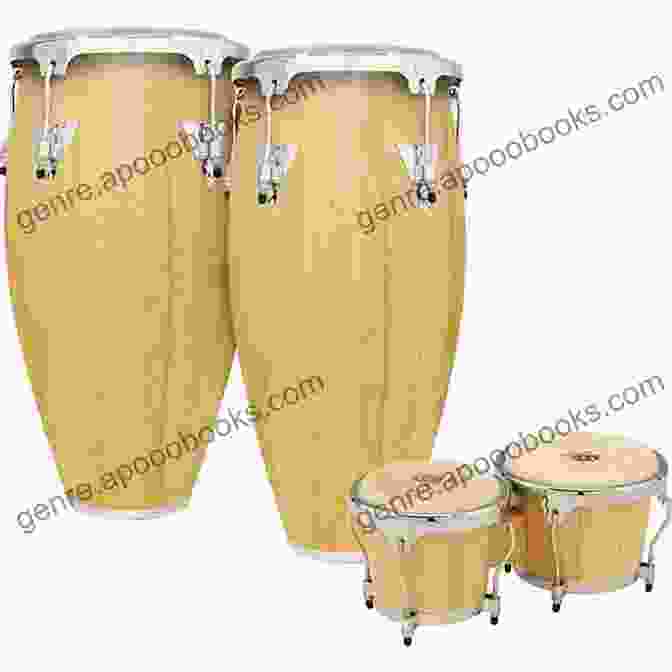 Conga And Bongo Drums On Stage Conga And Bongo Drum In Jazz