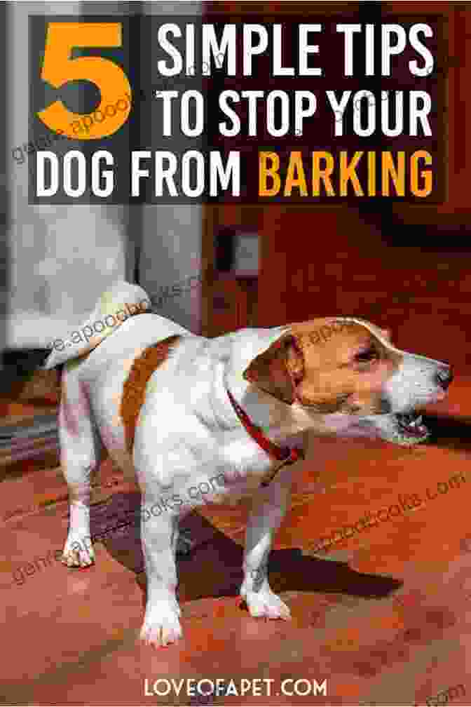 Dog Barking Excessively How To Stop A Dog From Barking: Guide To Help You To Stop Your Dog S Excessive Barking