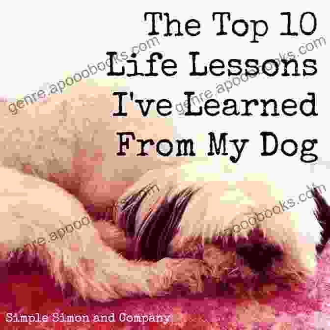 Life Lessons Learned From The Dog Of My Life Book Cover PAW PRINTS IN MY HEART: Life Lessons Learned From The Dog Of My Life