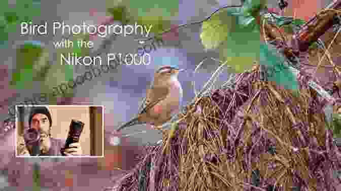 Nikon Coolpix P1000 Wildlife Photography NIKON COOLPIX P1000 BUYERS GUIDE: The Concise Manual On What You Need To Know Before Buying Nikon CoolPix P1000 Camera Great Gifts For Camera Lovers Includes Camera Comparison