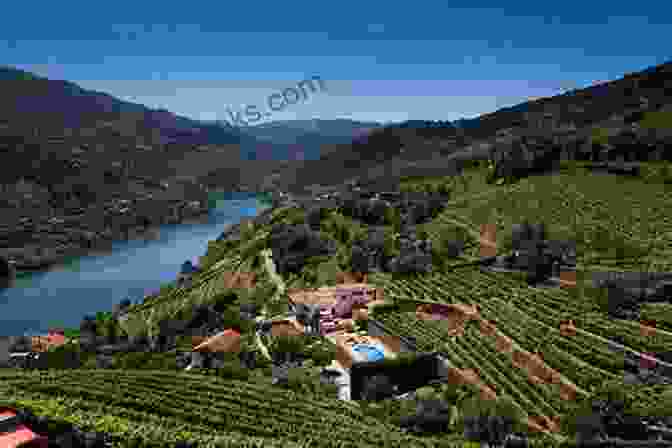 Panoramic View Of The Douro Valley, With Terraced Vineyards, Rolling Hills, And The Douro River Winding Through The Valley. Port Wine Portugal: Demarcated Region Of The Douro Valley In Portugal (F B European Culture 1)