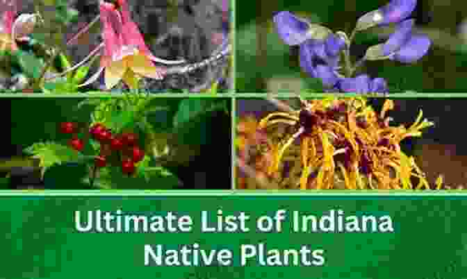 Poem Excerpt On Indiana's Native Plants And Animals, With Colorful Wildflowers And Wildlife Hoosier Fossils: And Other Poems