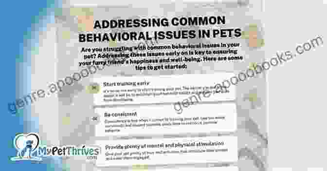 Proper Care: Proactively Addressing Health Concerns For A Healthy Pet The Green Iguana : Complete Owners Guide Acquisition Cost Care Proper Care Proper Health And Diet Of Your Amazing Pet