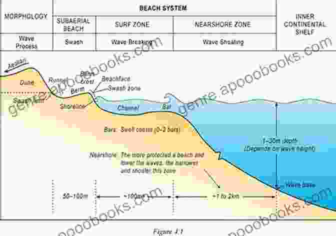 Sandy Beach Morphodynamics, Form And Process, Coastal Geomorphology, Beach Evolution Sandy Beach Morphodynamics: Form And Process