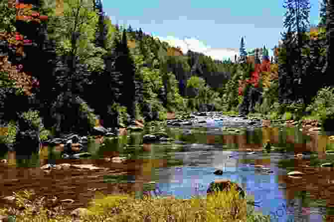 Serene View Of The West Branch Of The Ausable River, Framed By Lush Greenery Fly Fishing The West Branch Of The Ausable River