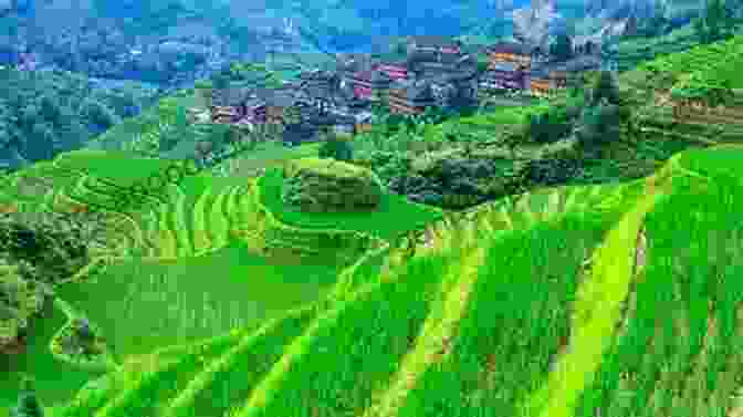 Terraced Rice Paddies In Longsheng Guilin: 10 Must Visit Locations