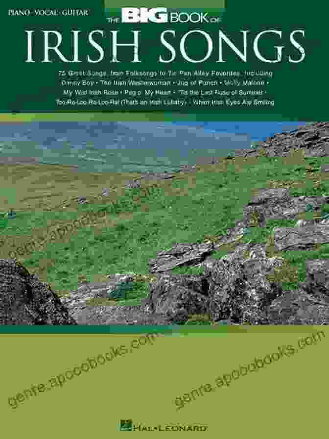 The Big Green Of Irish Music Book Cover The Big Green Of Irish Music Vol 3: Airs Hornpipes Polkas