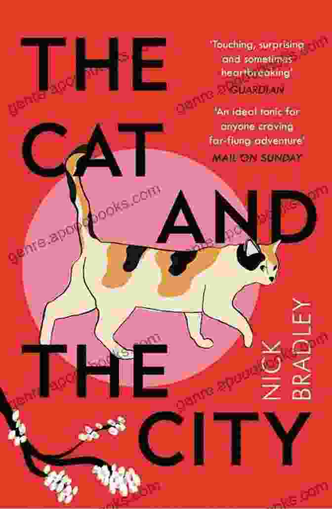 The Cat And The City Book Cover The Cat And The City