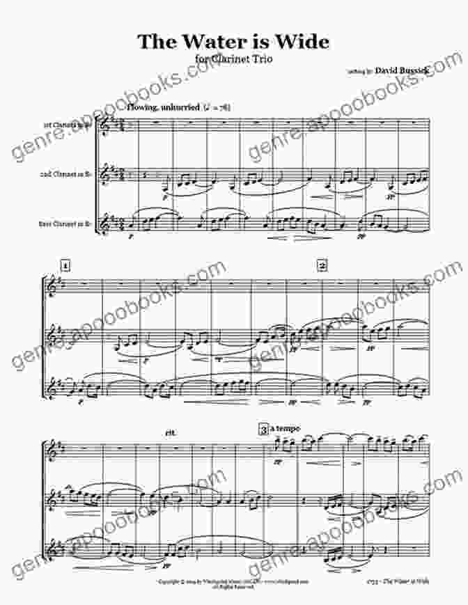 The Water Is Wide Easy Clarinet Quartet Score Parts The Water Is Wide Easy Clarinet Quartet (score Parts): (Waly Waly)