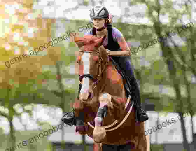 Trainer Avoiding Overtraining The Horse Best 20 Horse Training Tips