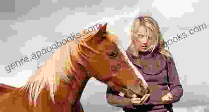 Trainer Rewarding Horse With Treat Best 20 Horse Training Tips