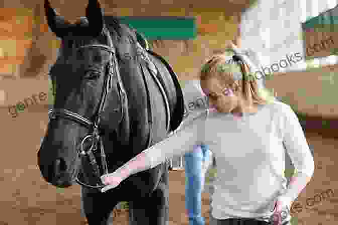 Trainer Working With Horse Consistently Best 20 Horse Training Tips