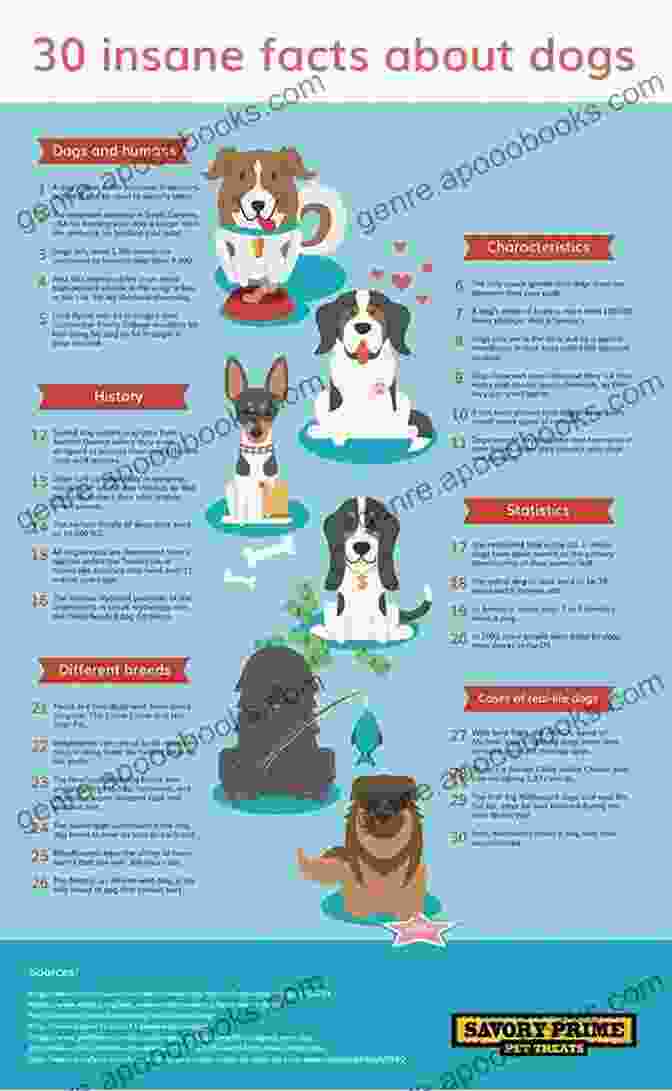 Training And Development Goals For Your Dog Infographic Training And Development Goals For Your Dog: Tips On The Most Ideal Approach To Prepare Your Dog