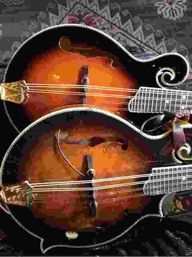 Twin Mandolins Twin Mandolins : Twice The Fun