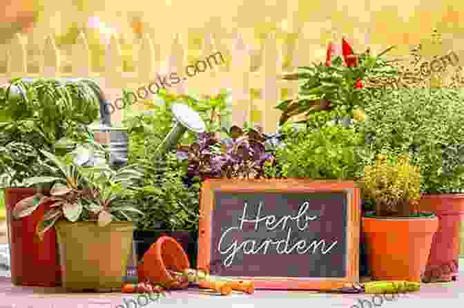 Vibrant Herb Garden Showcasing The Beauty And Abundance Of Aromatic Plants Aromatic Herbs: What Is Aromatic Herbs