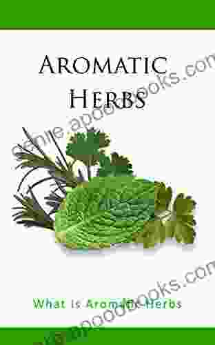 Aromatic Herbs: What Is Aromatic Herbs