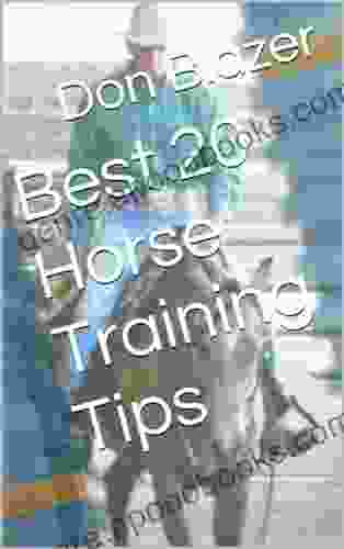 Best 20 Horse Training Tips