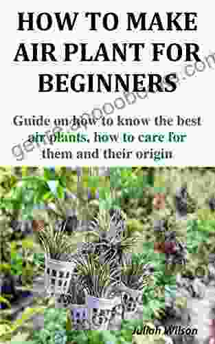 HOW TO MAKE AIR PLANT FOR BEGINNERS: Guide on how to know the best air plants how to care for them and their origin