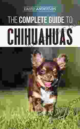 The Complete Guide To Chihuahuas: Finding Raising Training Protecting And Loving Your New Chihuahua Puppy