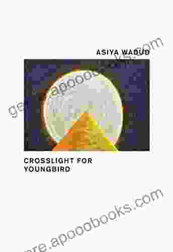 Crosslight For Youngbird