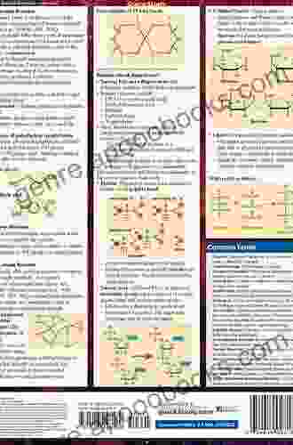 Organic Chemistry Reactions: Speedy Study Guides