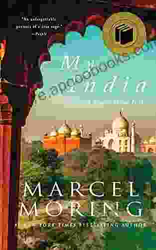 My India: A Novel About India