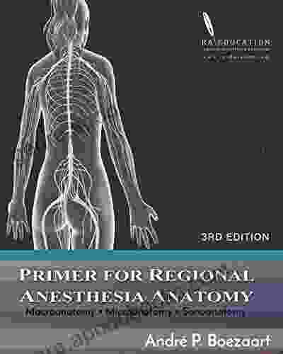 Primer For Regional Anesthesia Anatomy: Macroanatomy Microanatomy And Sonoanatomy