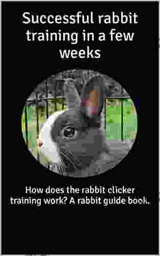 Successful rabbit training in a few weeks: How does the rabbit clicker training work? A rabbit guide