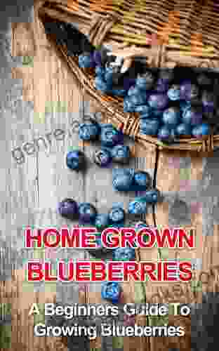 Home Grown Blueberries: A Beginners Guide To Growing Blueberries (beginners gardening home grown berries backyard berries garden design urban farming organic fruit growing berries)