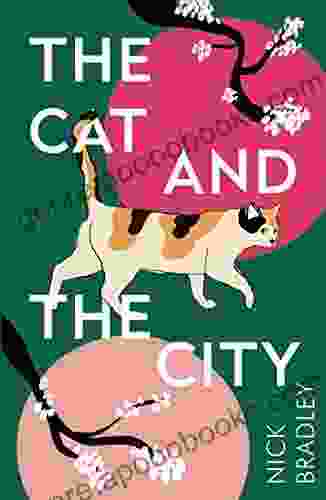 The Cat and The City