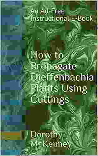 How To Propagate Dieffenbachia Plants Using Cuttings: An Ad Free Instructional E